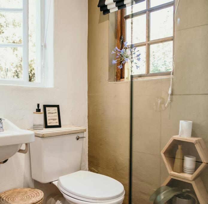 Classic Greyton Cottage For Two エクステリア 写真