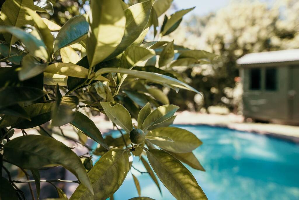 Classic Greyton Cottage For Two エクステリア 写真
